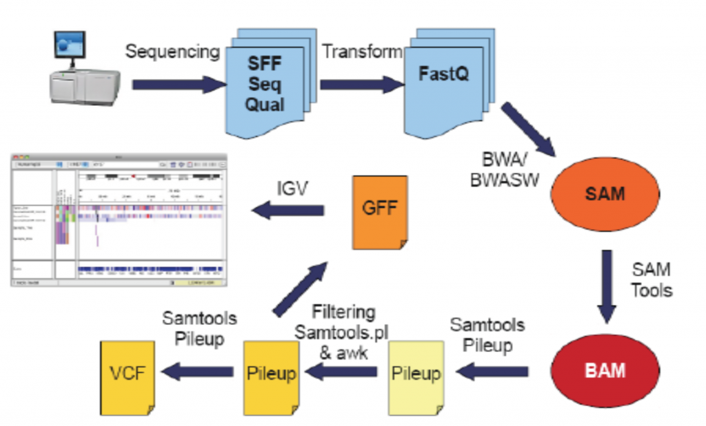 next generation sequencing workflow