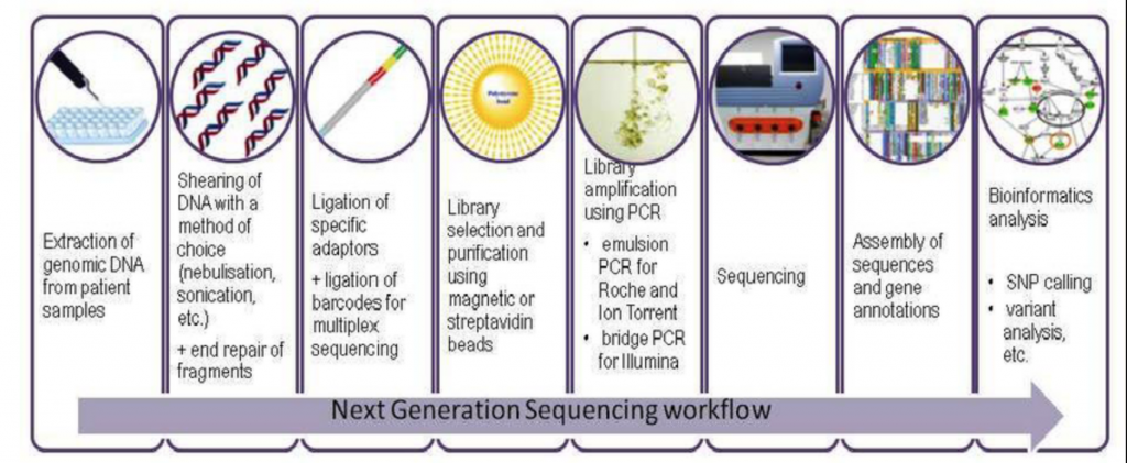 next generation sequencing schematic