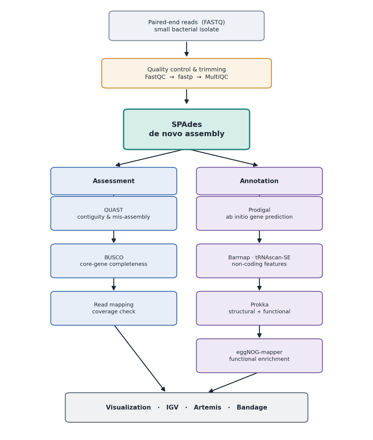 De novo genome assembly and annotation pipeline