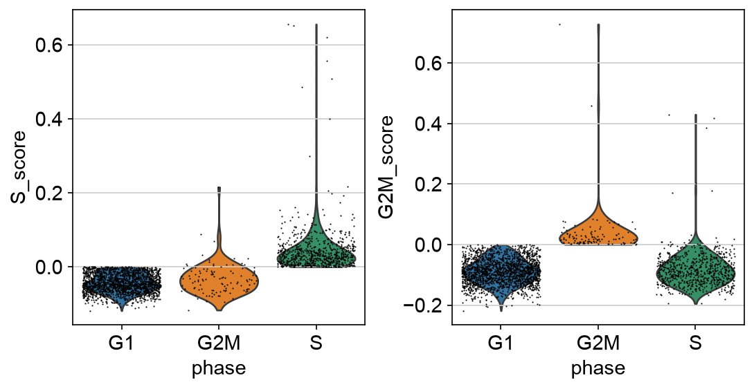 PBMC 3k cell cycle score violin plots grouped by assigned phase.