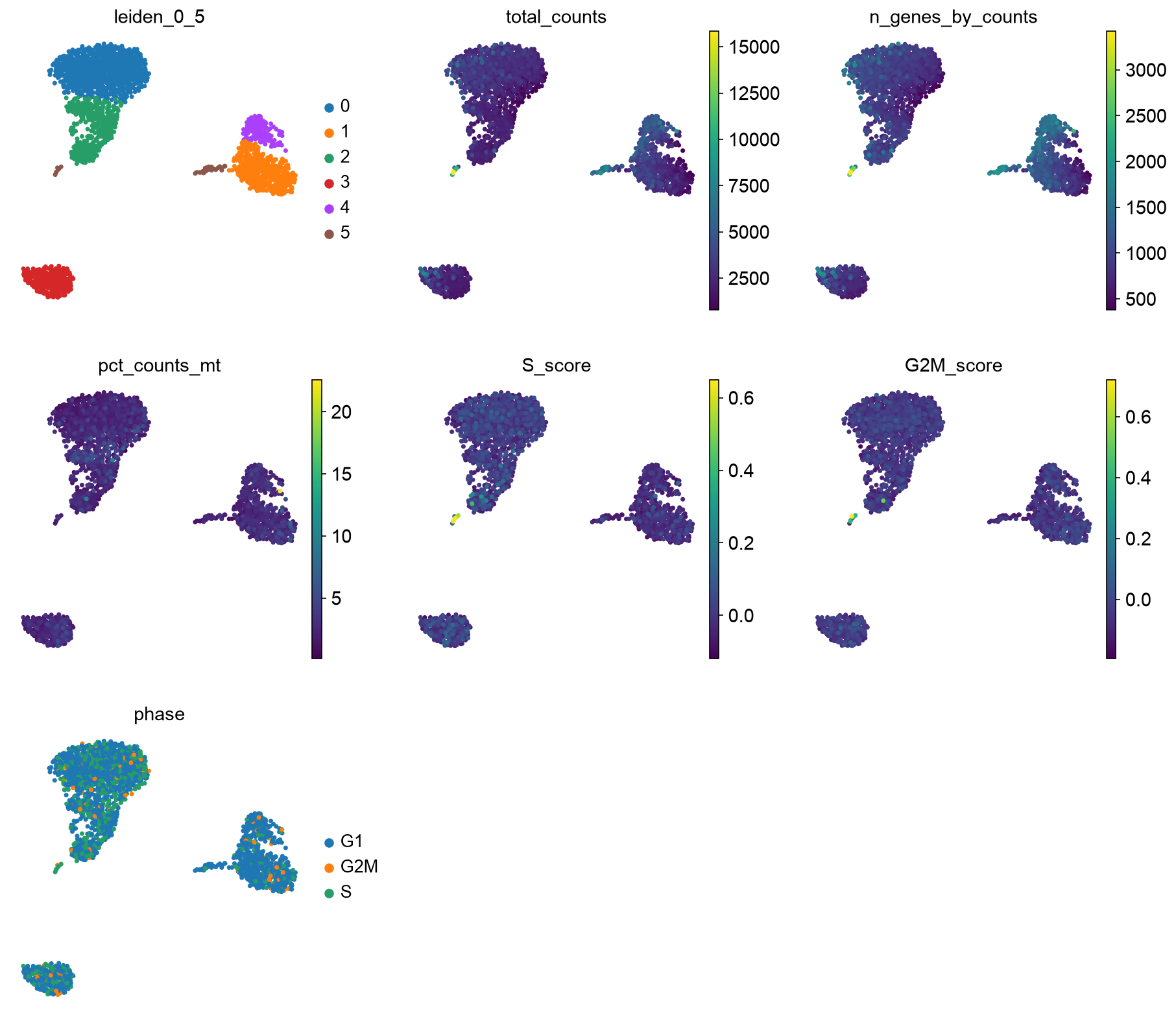 PBMC 3k final UMAP after QC review and rerunning PCA, clustering, and UMAP.