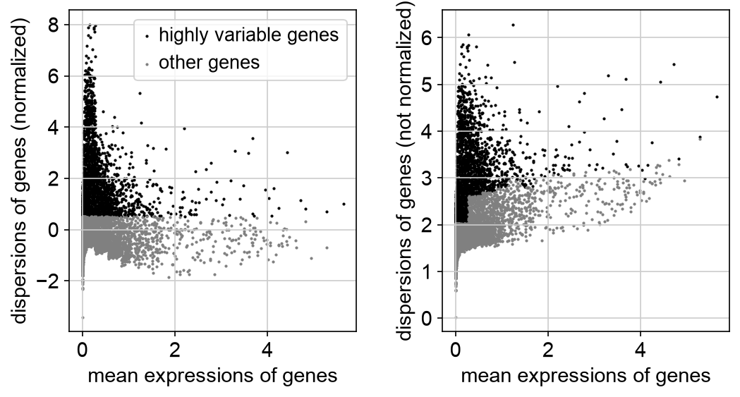 PBMC 3k highly variable gene selection plot.