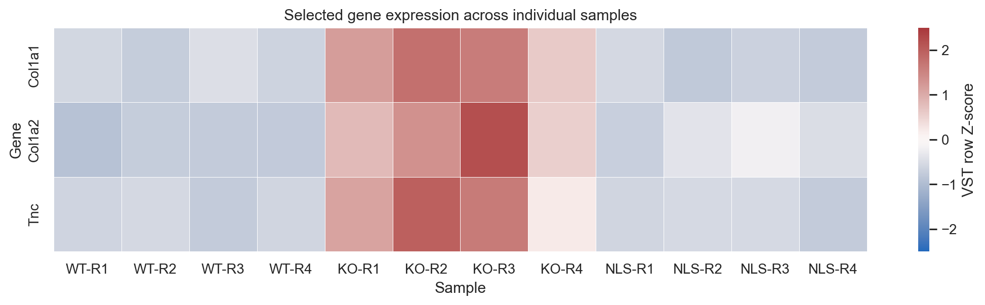 Heatmap of selected genes across the 12 libraries.