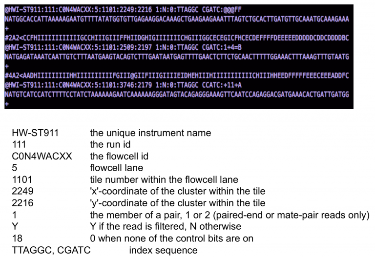 fastq-format-ngs-analysis