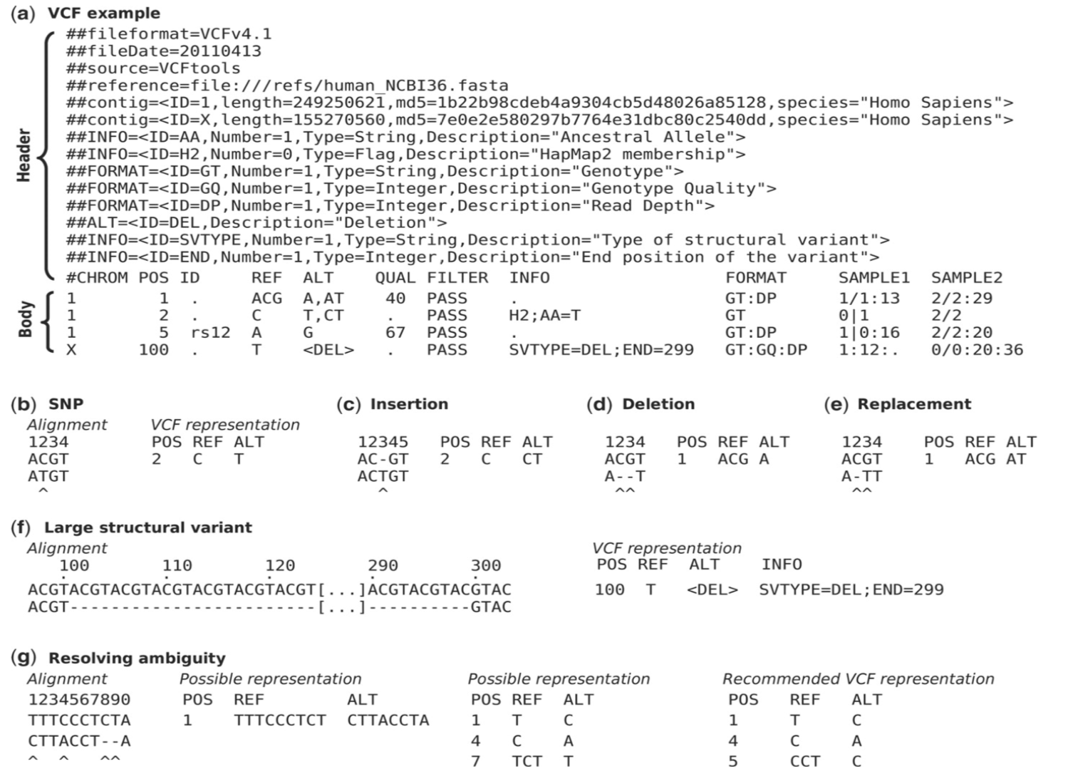 VCF Format – NGS Analysis