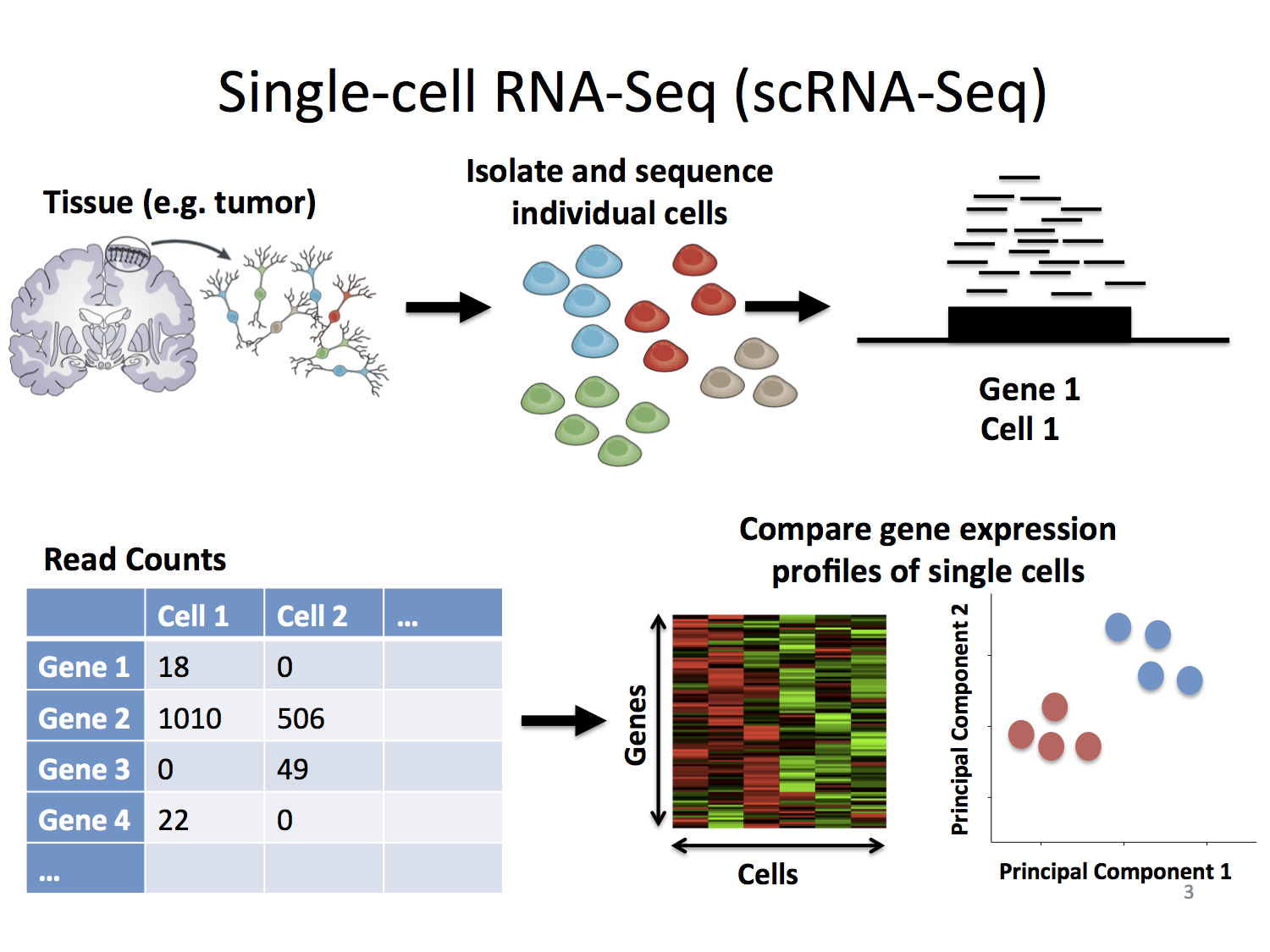 Overview Of Single Cell Rna Sequencing Scrna Seq Methodology  Sexiz Pix